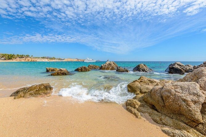 unforgettable snorkeling activity in The Sea of Cortes - Key points to know before booking