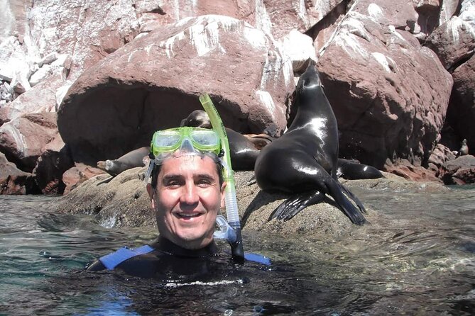 unforgettable snorkeling activity in The Sea of Cortes - The beach camp makes the price easier to judge