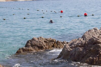 unforgettable snorkeling activity in The Sea of Cortes