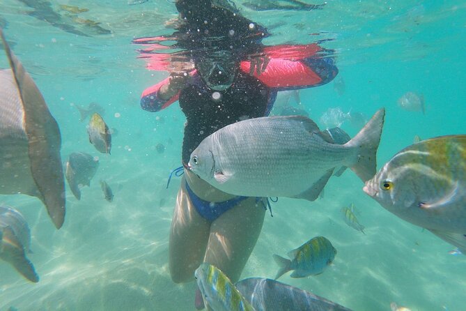 unforgettable snorkeling activity in The Sea of Cortes - A small group with room for personal service