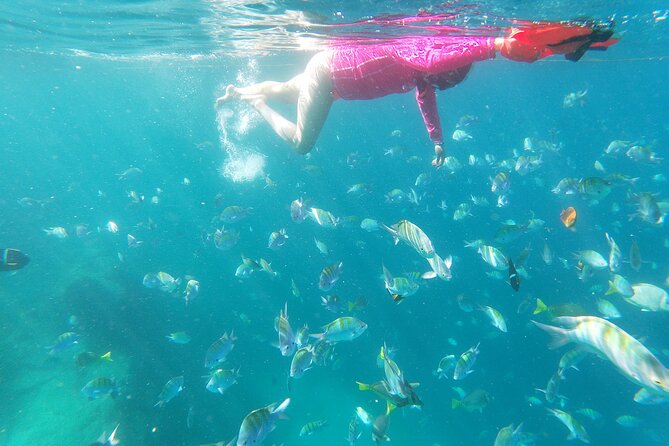 unforgettable snorkeling activity in The Sea of Cortes - Timing, weather, and cancellation
