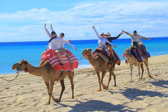 UTV Adventure with Free Camel Ride and Sky Bikes - Sky bikes and the ecological walk