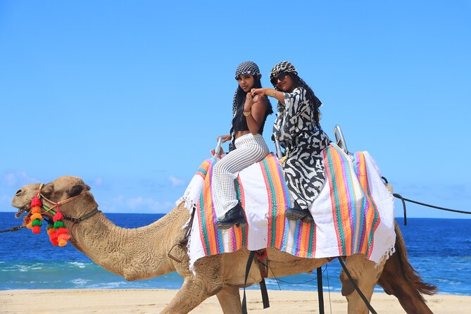 UTV Adventure with Free Camel Ride and Sky Bikes - Hotel pickup and timing in Cabo