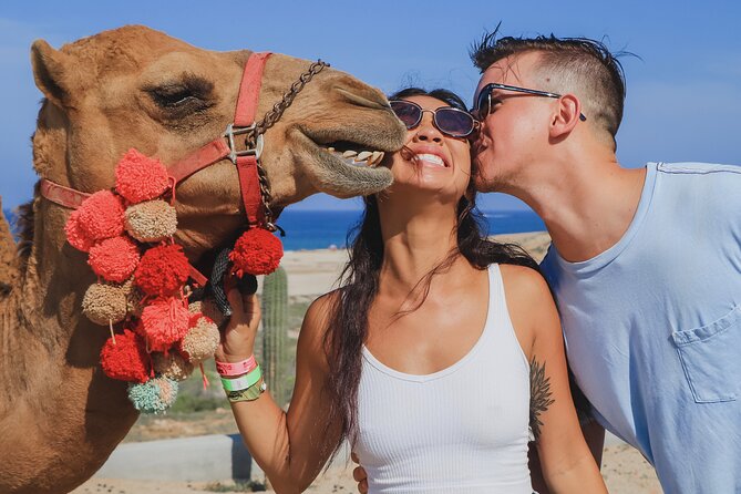 UTV Adventure with Free Camel Ride and Sky Bikes - Camel riding beside the beach