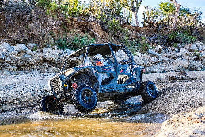 UTV and Camel Ride in the Cabo Desert - Key points to know before you book