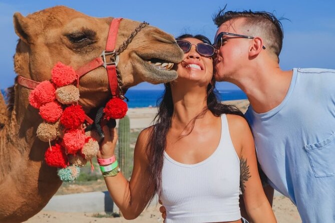 UTV and Camel Ride in the Cabo Desert - Food, drinks, and the photo rules