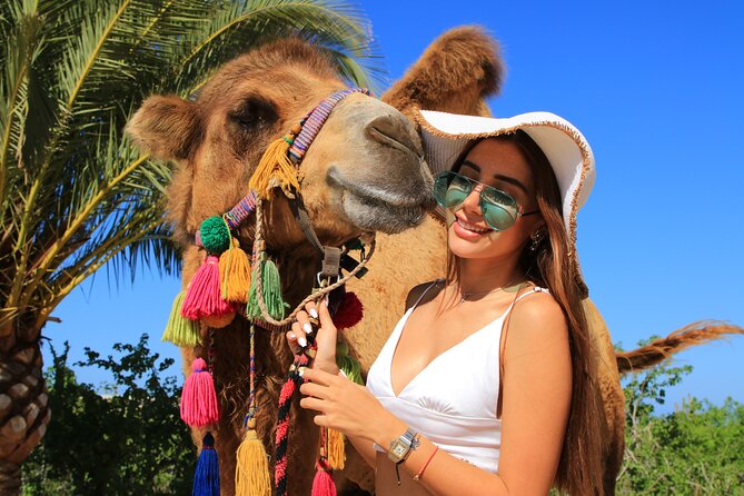 UTV and Camel Ride in the Cabo Desert - Guides and group size