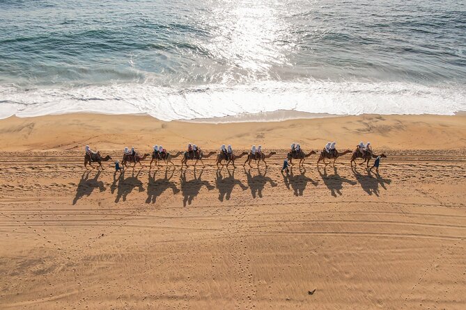 UTV and Camel Ride in the Cabo Desert - Booking, weather, and cancellation rules