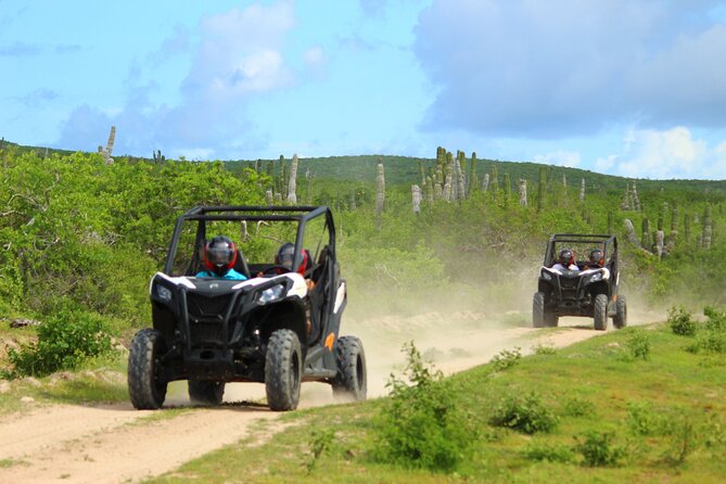 Viper Trail UTV Small-Group Experience in Cabo San Lucas - From Cabo hotels to Rancho San Cristobal