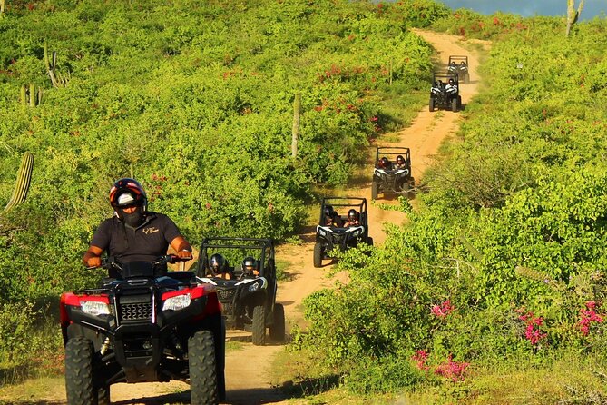 Viper Trail UTV Small-Group Experience in Cabo San Lucas - Scenic stops, photos, and the phone policy