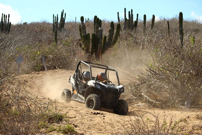 Viper Trail UTV Small-Group Experience in Cabo San Lucas - Who will enjoy the Viper Trail most?
