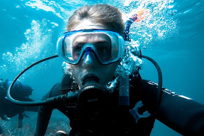 Whale and Dive Combo Tour in Los Cabos - A Whale Watch That Leads Straight to the Reef