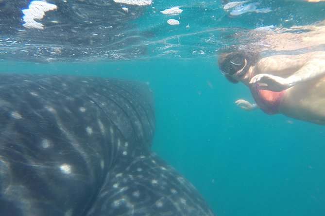 Whale-Shark Snorkeling Excursion to La Paz - The return through Todos Santos