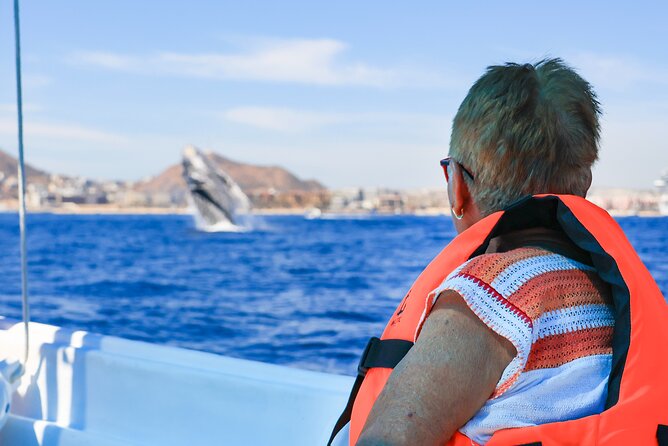 Whale Tour, Arch, Professional Photos & Hydrophone - Starting at the marina near Cabo’s Arch