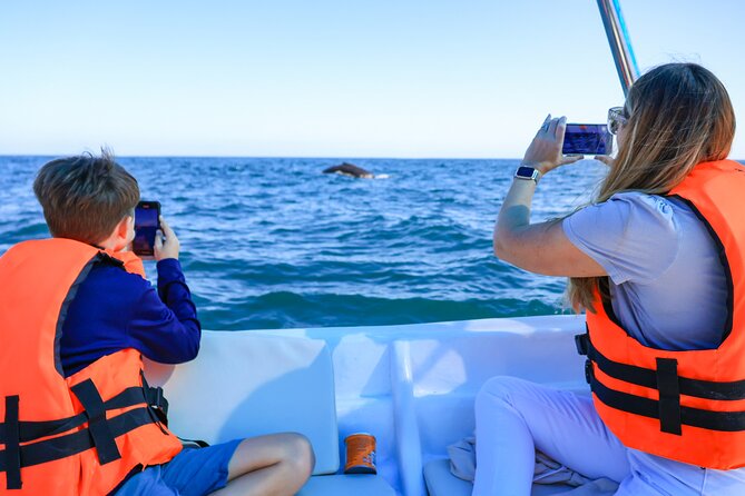 Whale Tour, Arch, Professional Photos & Hydrophone - Looking for whales without chasing them