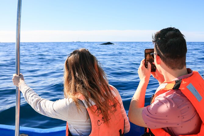 Whale Tour, Arch, Professional Photos & Hydrophone - Professional photos and the small handmade souvenir