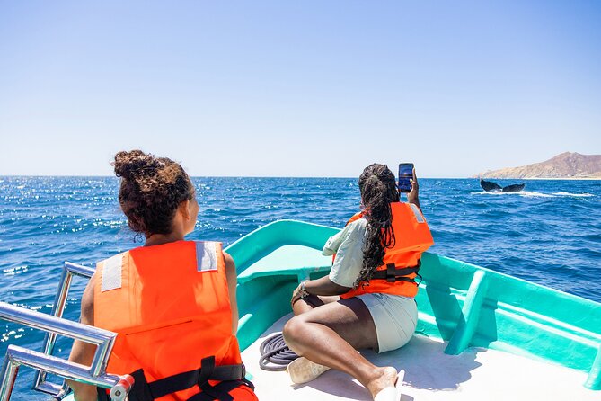Whale Tour, Arch, Professional Photos & Hydrophone - The Arch, beaches, and Cabo’s rock formations