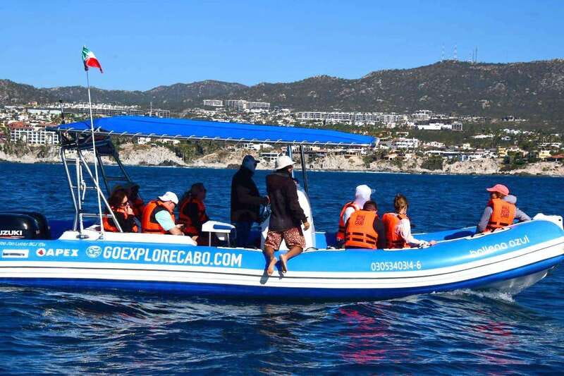 Whale Watch Cabo: Zodiac Whale Adventure - FREE Photos - Free Photos Without a Separate Package