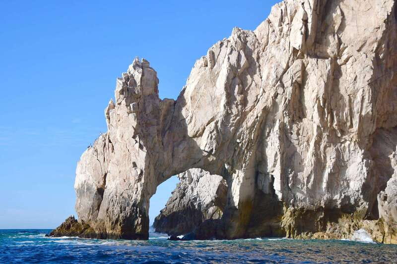 Whale Watch Cabo: Zodiac Whale Adventure - FREE Photos - Who Will Get the Most From This Cabo Outing?