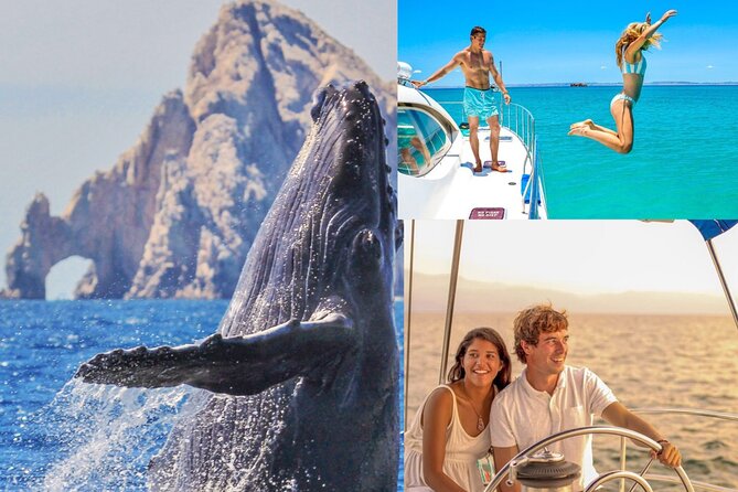 Whale Watching & Arch Catamaran Cruise in Cabo San Lucas - What the two-hour route feels like