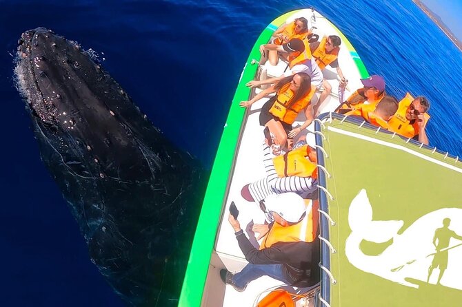 Whale Watching Cabo-Women crew-Sightings Guaranteed & Free Photos - What the two-hour schedule feels like