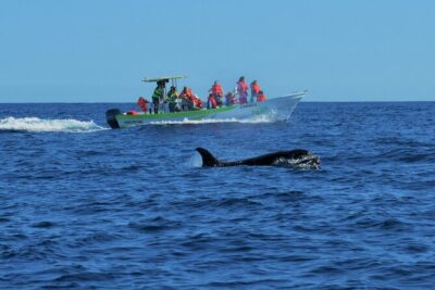 Whale Watching Cabo-Women crew-Sightings Guaranteed & Free Photos
