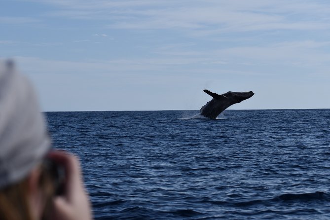Whale Watching Cabo-Women crew-Sightings Guaranteed & Free Photos - Who should book this Cabo whale tour