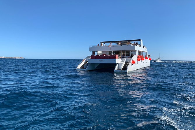 Whale Watching Cruise in Cabos San Lucas and Ground Transportation - Catamaran comfort, drinks, and tequila tasting