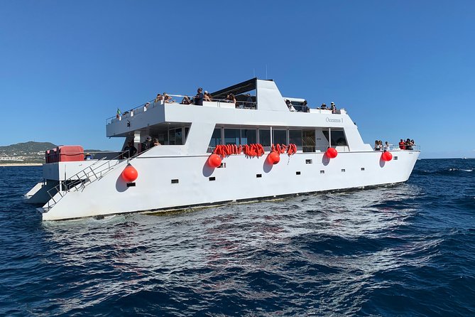 Whale Watching Cruise in Cabos San Lucas and Ground Transportation - Group size, guides, and the human side of the trip