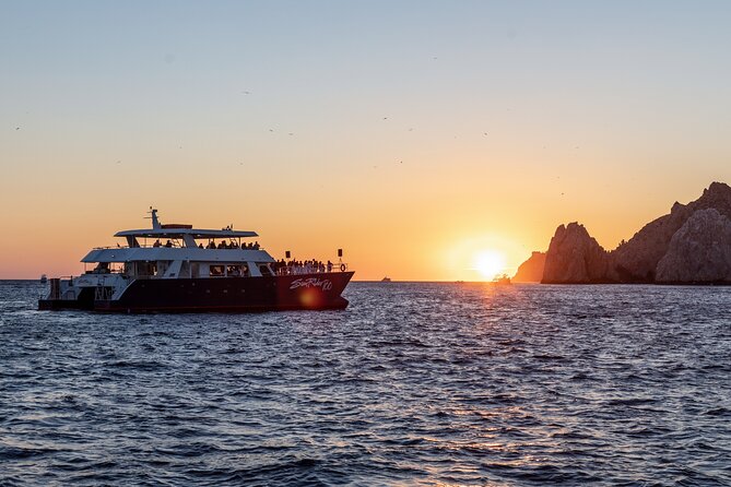 Whale Watching Dinner Cruise in Cabo San Lucas - Why the Boat Matters