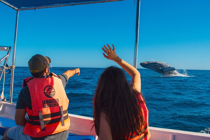 Whale Watching Experience in Cabo San Lucas 2 hours - Two hours around Cabo’s best-known rocks