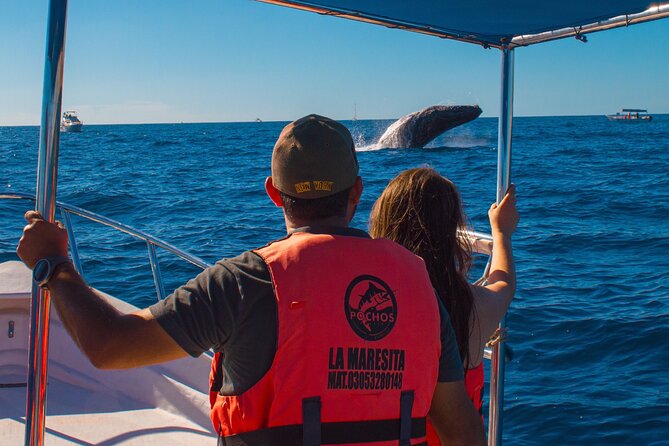 Whale Watching Experience in Cabo San Lucas 2 hours - The Arch gets the clearest viewing time