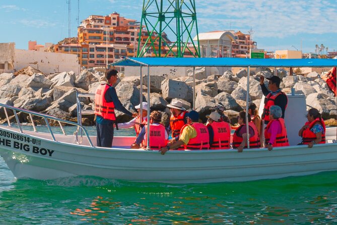 Whale Watching Experience in Cabo San Lucas 2 hours - Who should book this Cabo boat trip?