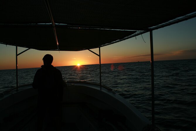 Whale Watching Group Tour in San Jose del Cabo - The Hydrophone Makes the Tour More Than a Sightseeing Ride
