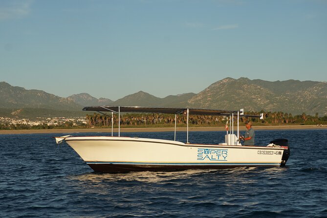 Whale Watching Group Tour in San Jose del Cabo - Meeting at Poblado La Playa