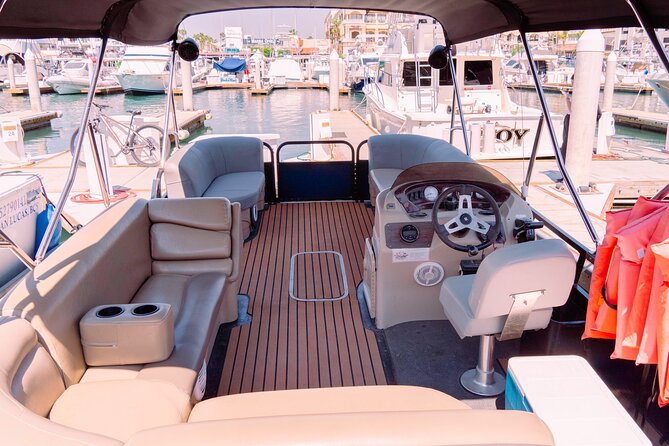 Whale Watching in Cabo San Lucas on board our Luxury Trimaran! - Pickup and meeting instructions need extra care