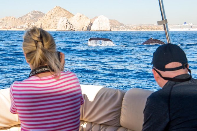 Whale Watching in Cabo San Lucas on board our Luxury Trimaran! - Setting out on a small luxury trimaran