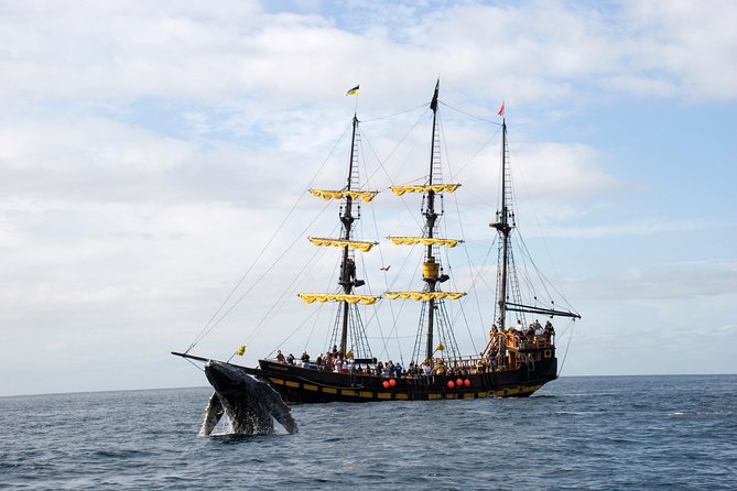 Whale-Watching Pirate Ship Cruise in Los Cabos - Practical advice for a better outing