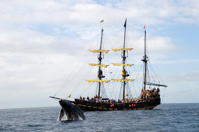Whale-Watching Pirate Ship Cruise in Los Cabos - Heading toward the Pacific and Sea of Cortez