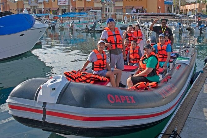 Whale Watching Snorkel Combo - Should you book the Whale Watching Snorkel Combo?