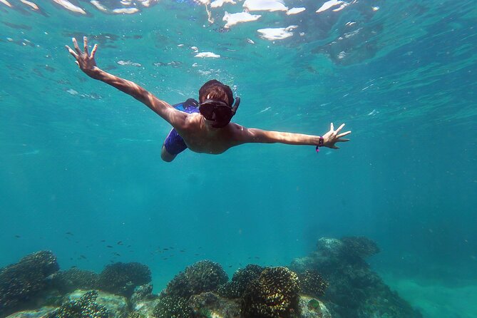Whale Watching & Snorkeling Combo in Los Cabos with Photos Included - Two ocean experiences in one Cabo morning