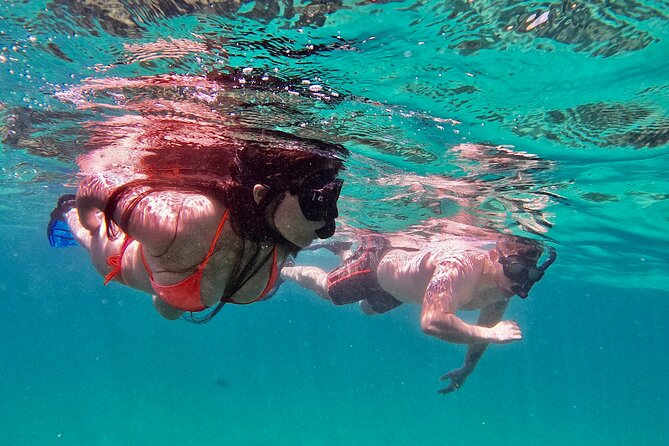 Whale Watching & Snorkeling Combo in Los Cabos with Photos Included - Leaving the Marina and Reading Cabo’s Coast