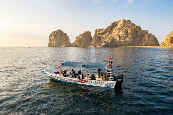 Whale Watching Tour in Cabo San Lucas - Meeting Captain Miguel downtown