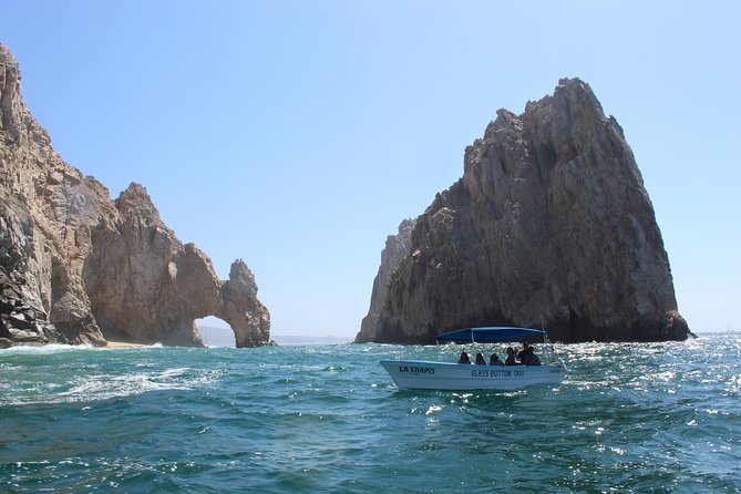 Whale Watching Tour in Glass Bottom Boat (VisitA Cabo) - Is $70 a fair price?