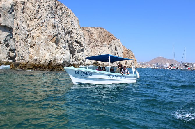 Whale Watching Tour in Glass Bottom Boat (VisitA Cabo) - What the best departure might be
