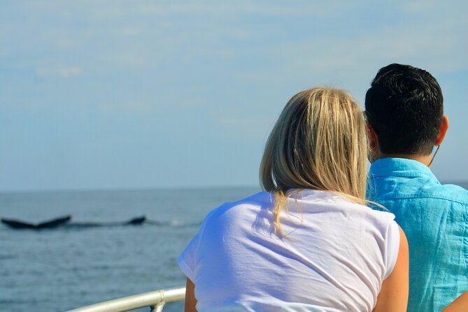 Whale Watching Warranty in San José del Cabo Snacks and drinks - What the guides add to the boat ride