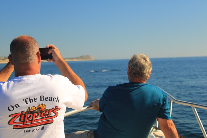 Whale Watching Warranty in San José del Cabo Snacks and drinks - Snacks, water, and drinks during the two hours